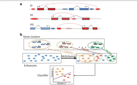 Fig. 1 Possible enhancer-gene interaction dynamics and problem definition. a Current understanding of interaction dynamics between enhancersand their target genes: (i) An enhancer can regulate a faraway gene and not necessarily the closest one