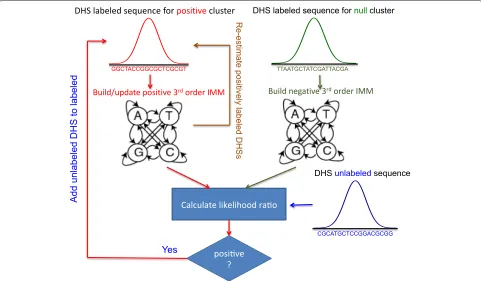 Fig. 2 Schematic representation of McEnhancer. Starting with known DHS-gene pairs assigned to a given cluster, it builds a third-order IMM torepresent sequence features in DHSs for the positive cluster (colored red)