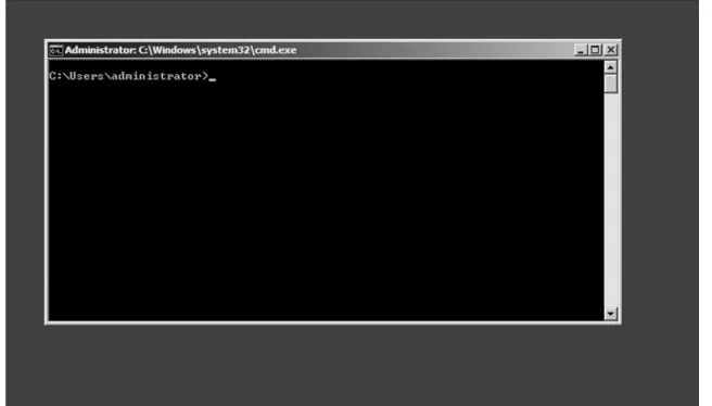 Figure 1.  The Server Core Console
