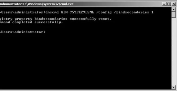 Figure 1.  Using the dnscmd Utility
