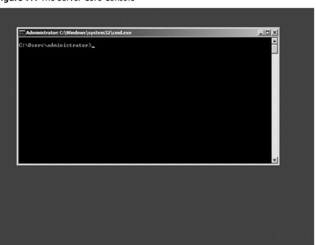 Figure 7.1  The Server Core Console