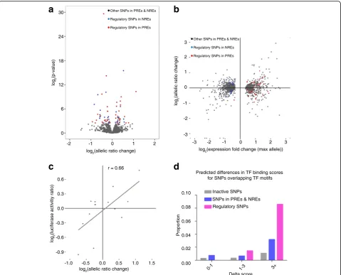 Fig. 3 Identification and validation of regulatory SNPs.shown inPearson correlation coefficient