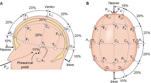 Figure 2.11: Illustration of the proportion marked 10-20 electrode placement system. The relative demarcation is designed such that differences in head sizes have a minimal influence on inter-subject comparative measurements.