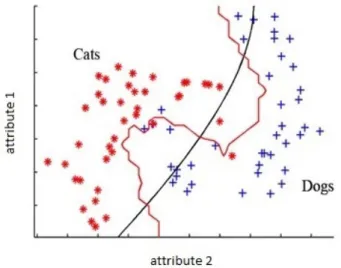 Figure 2.17: Two class animal classification with a decision boundary between the sets.