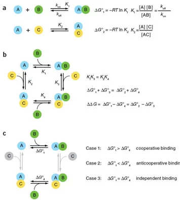 Figure 6.1:a) A hypothetical set of bimolecular complexes between componentA and two other components (B and C), with the rate constants, equilibrium con-stants, and free energies for complex formation