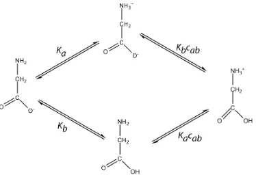 Figure 6.2: The chemical reaction network representing the various states of pro-tonation and deprotonation that exist for the glycine molecule as a function ofcvalue oftronic interactions between the two sites