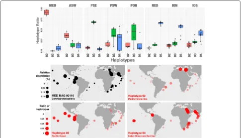 Fig. 6 Geographic distribution of TARA_MED_MAG_00110 haplotypes. Top panel: Box plot of each haplotype’s relative abundance across the 11regions where more than one sample had coverage greater than one