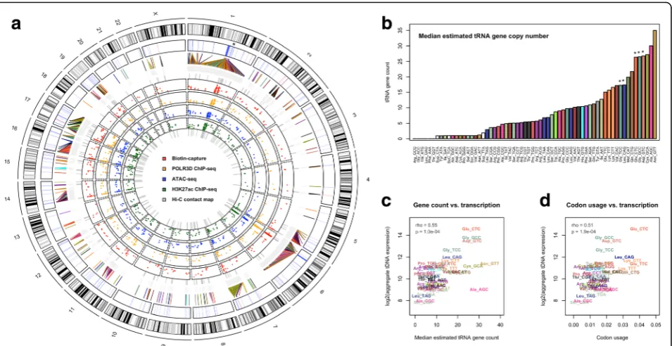 Fig. 2 Organization and transcription of multicopy tRNA genes in humans. a Circular visualization of human tRNA gene coordinates across humanchromosomes