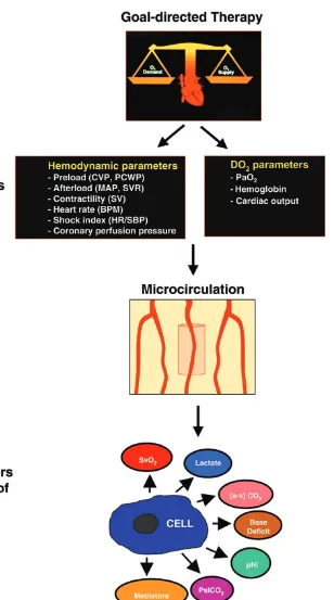 Figure 1The role of the microcirculation in goal-directed circulatory support. The upstream endpoints of resuscitation are hemodynamic and oxygen-derivedvariables that can be modulated by circulatory support interventions