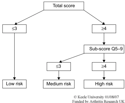 Figure 2 The STarT Back tool scoring system.Notes: Scores were used to stratify patients into “low risk,” “medium risk,” and “high risk” groups