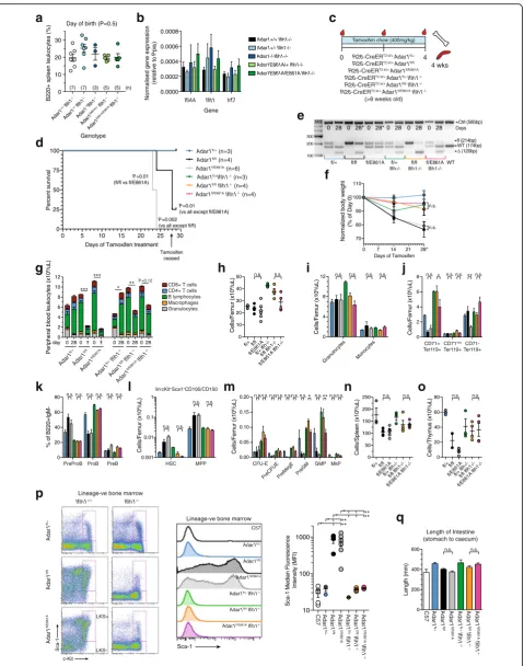 Fig. 7 (See legend on next page.)