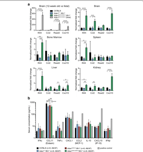 Fig. 2 Modest activation of ISG expression in Adar1E861A/E861AIfih1-/- tissues. a Quantitative reverse transcription polymerase chain reaction(qRT-PCR) of four ISGs from tissues of 12-week-old mice, with the exception of the first panel comparing 12-week-o
