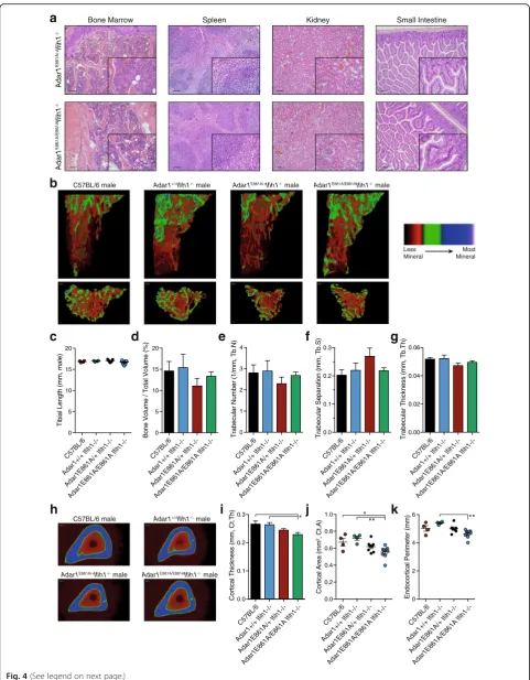 Fig. 4 (See legend on next page.)