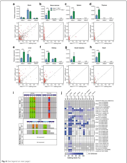 Fig. 6 (See legend on next page.)