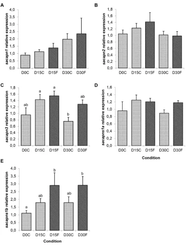 Figure 4. Calpains relative expression in gilthead sea bream from the fasting experiment