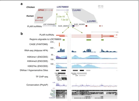 Fig. 4 Part of the sequence conservation in GLCP–lncRNA pairs can be explained by overlap with enhancer elements