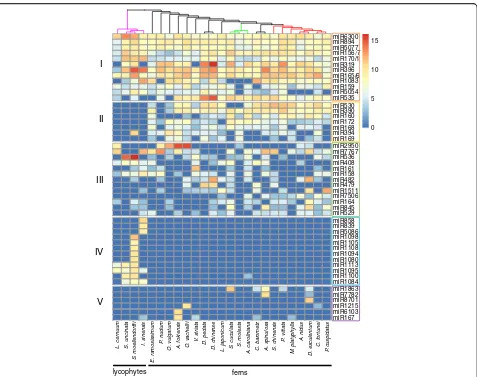 Fig. 7 Heatmap for conserved miRNA candidates. Each row represents a miRNA family. Colors indicate the scaled expression levels of thesemiRNA families (log2(RPM))