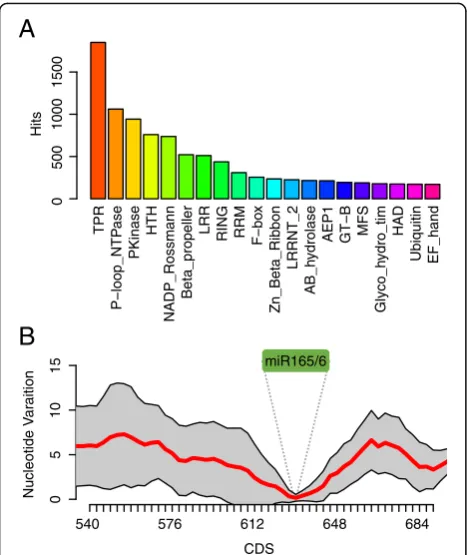 Fig. 8 Predicted targets of miRNA candidates in lycophytes and ferns.a Top 20 protein superfamily or domain hits in predicted targets ofmiRNA candidates