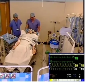 Figure 1 – The simulated environment