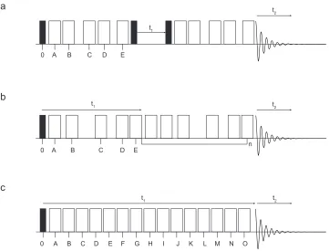 Figure 1.4: Three approaches to the two-dimensional CSA-amplified PASS methodology. In all three examples, transverse magnetisation is created through the application of a 90° pulse (filled rectangles) and the positioning of the π pulses (open rectangles),