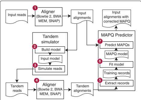 Fig. 3 Stages of the Qtip pipeline. Computational steps andsequencing reads and the ultimate output (containing alignments, where each aligned read’s MAPQ field is setintermediate results in Qtip