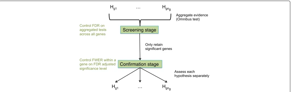 Fig. 2 The stage-wise testing paradigm. ng hypotheses are of interest for gene g. In the screening stage, evidence across the hypotheses isaggregated, and an omnibus test is performed that controls the FDR across all genes