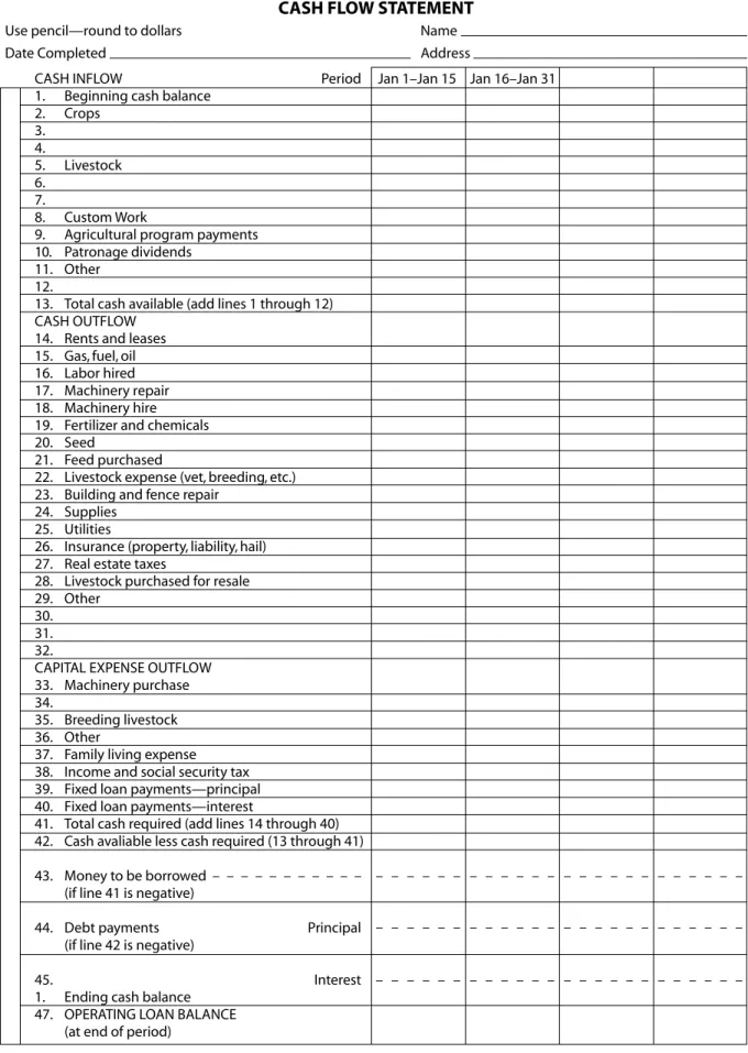 Figure 9.  CASH FLOW STATEMENT