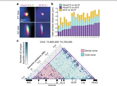 Fig. 2 Tripartite interactions betweenregion generated from 4C-seq data using400 nm.Hoxd13 Hoxd13 and the regulatory islands