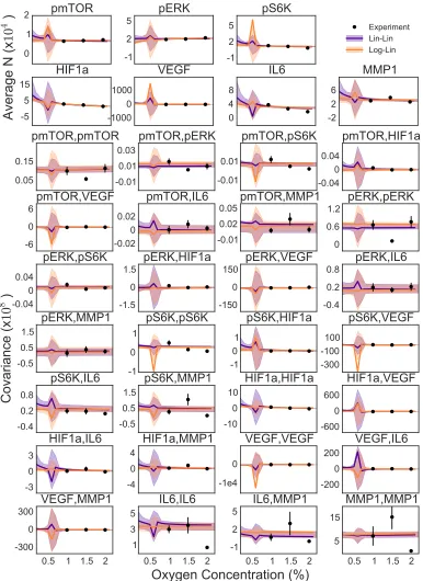 Figure 3.6: Predictions of average and covariance in copy number with the Lin-Linand Log-Lin models over low oxygen concentrations.
