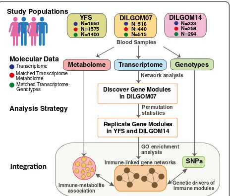 Fig. 1 The study design. GO Gene Ontology, SNP single nucleotidepolymorphism