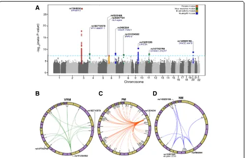 Fig. 2 Module and expression QTL analysis.PSNP and its closest genes are noted. Each significant mQTL locus is colored by module