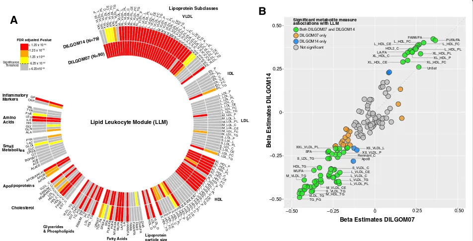 Fig. 4 Temporally stable metabolite measure associations with the LLM. a Circular heatmap for association between each metabolite measureand the LLM