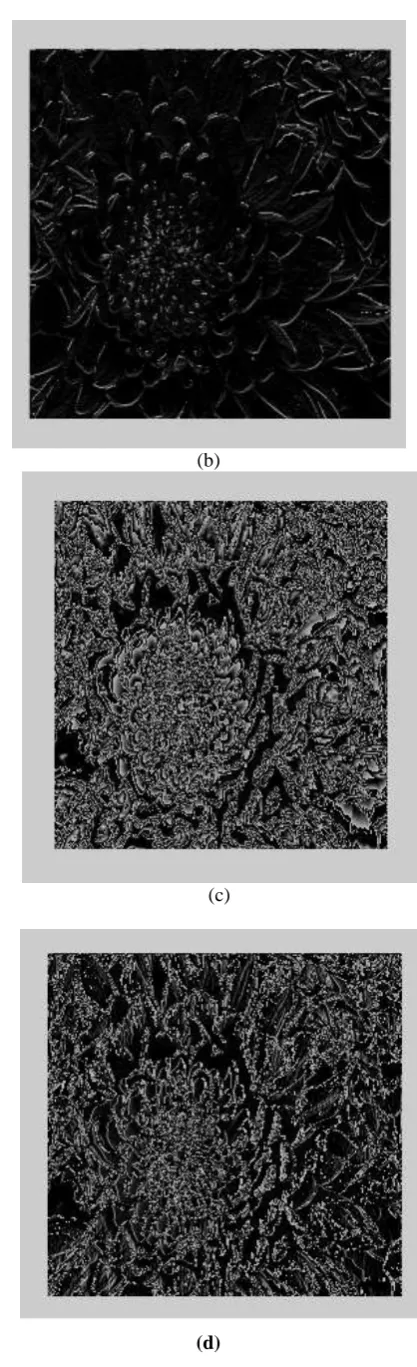 Figure 3: input image 