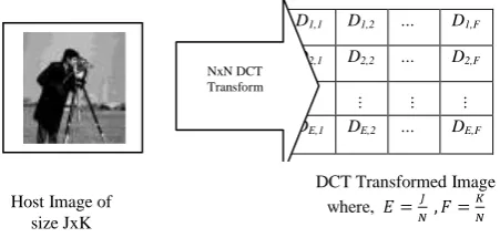 Figure. 1 DCT transform of the host image  