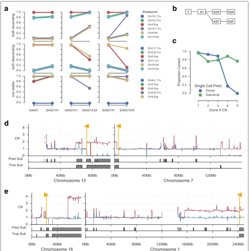 Fig. 5 Tracking clonal expansions in xenograft passages.for each clone A copy number ((inference for X3F based on single cell whole genome sequencing
