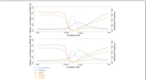 Fig. 6 Average profiles of the enhancer candidates in (a) V2-IST and (b) husk. Average signal intensities of DNase I hypersensitivity, H3K9ac enrichment inRPM and DNA methylation levels in methylation frequency at DHSs and their 1-kb flanking regions