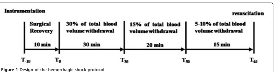Figure 1 Design of the hemorrhagic shock protocol.