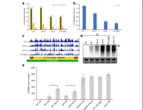 Fig. 2 Simultaneous inhibition of DNA methyltransferases and Pol II reduces global CHH methylation and mimics the TE silencing deficiency ofthe nrpd1 background