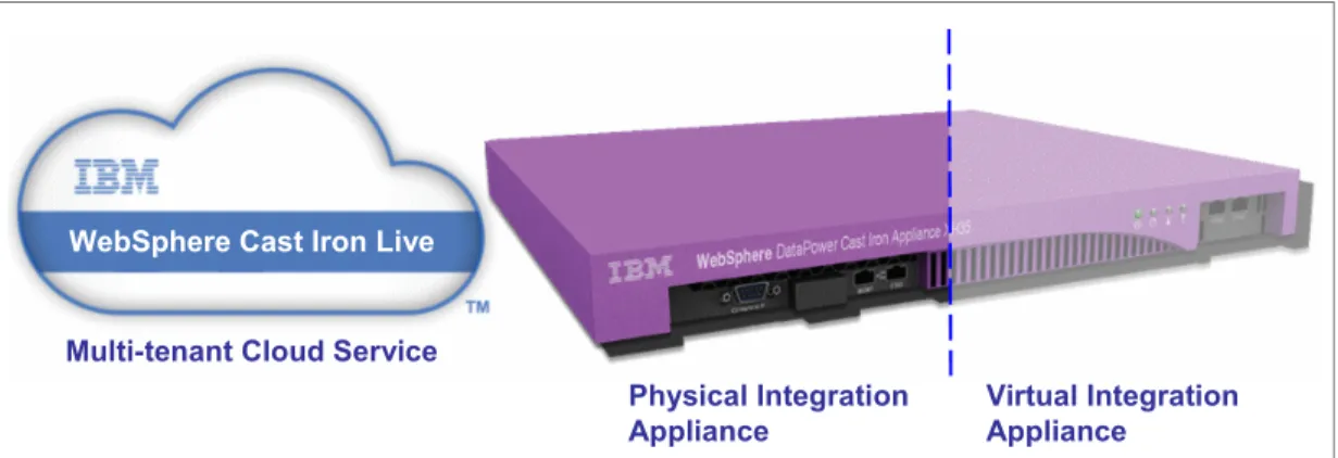 Figure 2   The three deployment options for WebSphere Cast Iron Cloud integrationPhysical Integration
