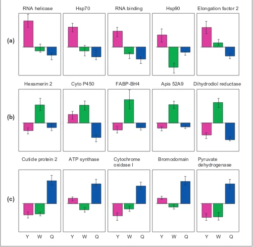 Figure 2Proportional expression levels of specific genes. (a) Genes with high expression in young larvae (Y)