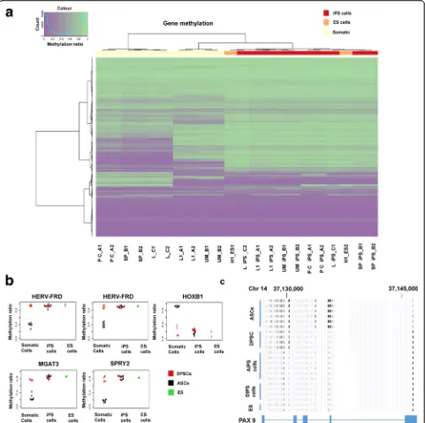 Fig. 5 Proximity of DNA methylation markers in DPSCs to hES and iPS cells.adipose-derived stem cell-derived induced pluripotent stem, ASC adipose-derived stem cell, DiPS dental pulp stem cell-derived induced pluripotentPAX9highly similar epigenetic profile