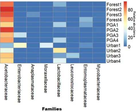 Table 2. Relative abundance of family and genus level taxa from each O. smaragdina colony