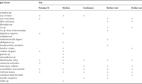 Fig. 4. Dendrogram resulting from the cluster analysis performed on the macroalgal presence or absence data on a 57 quadrats × 18 taxa matrix using the S17Bray–Curtis similarity index at the sites of Penmarc’h (P), Mole`ne (M), Coulouarn (C), Bre´hat west (Bw), and Bre´hat east (Be).