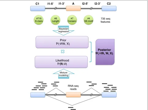 Figure 1 presents a schematic illustration of BRIE (see“Methods” section for precise definitions and details ofthe estimation procedure)