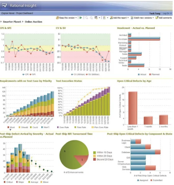 Figure 4.2.: View of IBM Rational Insight [IBM11b]. The figure presents the