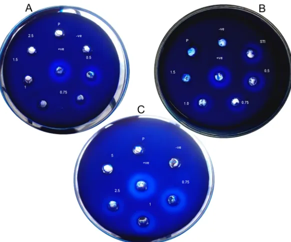 Fig 2. Disc diffusion plate assay showing T. cordifolia stem proteins’ effect on trypsin and α-chymotrypsinactivity