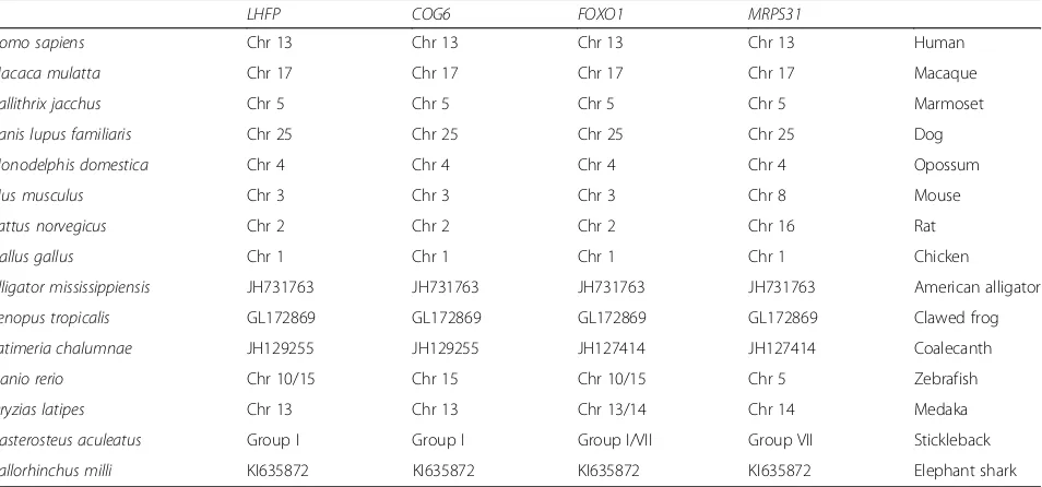 Table 1 Location of genes flanking the FOXO1 locus in human Chr13 across species