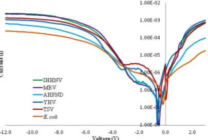 Figure 2. Negative biased I–V profiles for the four types of virus and two bacterial species carried-out in triplicates.