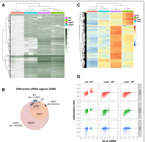 Fig. 4 Effects of thethe difference in DNA methylation values were plotted on theshowing the relative abundance of 24-nt siRNAs at DSRs identified inlevel changes at DSRs identified in pkl mutant on 24-nt siRNA abundance