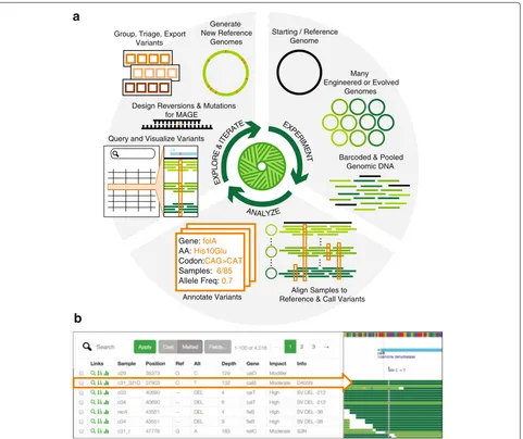 Fig. 1 Millstone enables rapid iterative multiplex genome analysis and engineering.and next-generation sequencing reads for many individual genomic clones, for example from long-term evolution or targeted genome editing.Millstone performs alignment and var